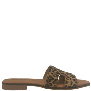 SANDRA-COVES-3053-LEOPARDO-2